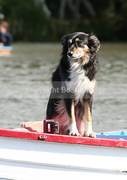 120701 MAVIS WT7A4307 - HENLEY ROYAL REGATTA - Sunday 1st July 2012