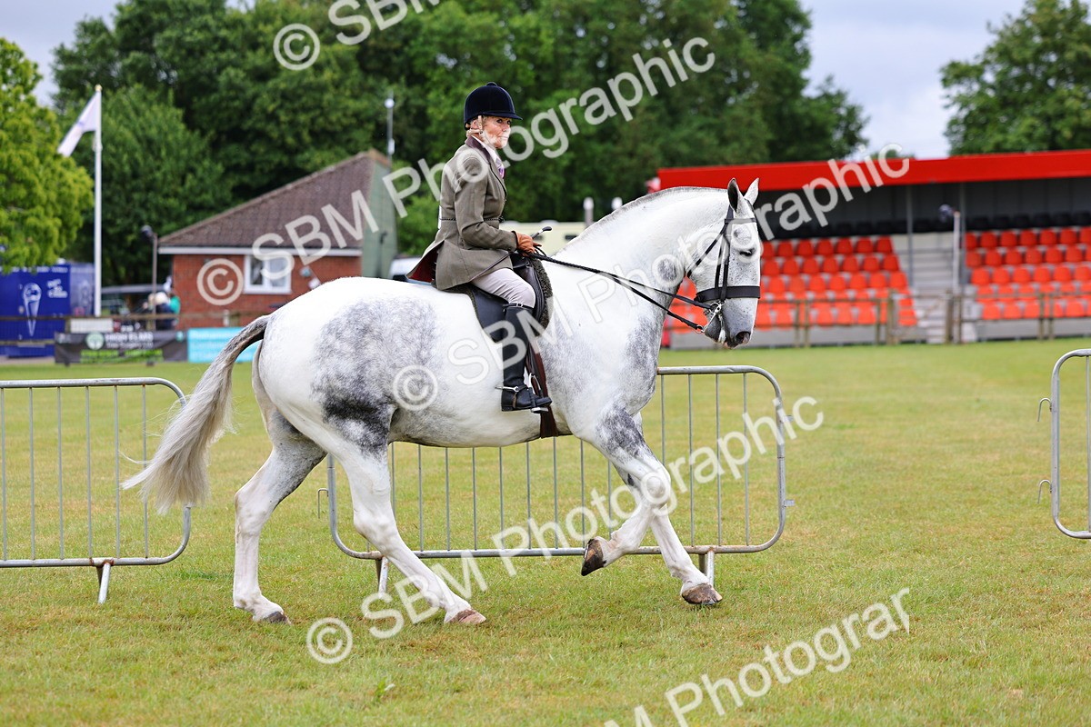 SBM_02491 - Class 9-11 Side Saddle including LIHS Rising Star Ladies Show Horse