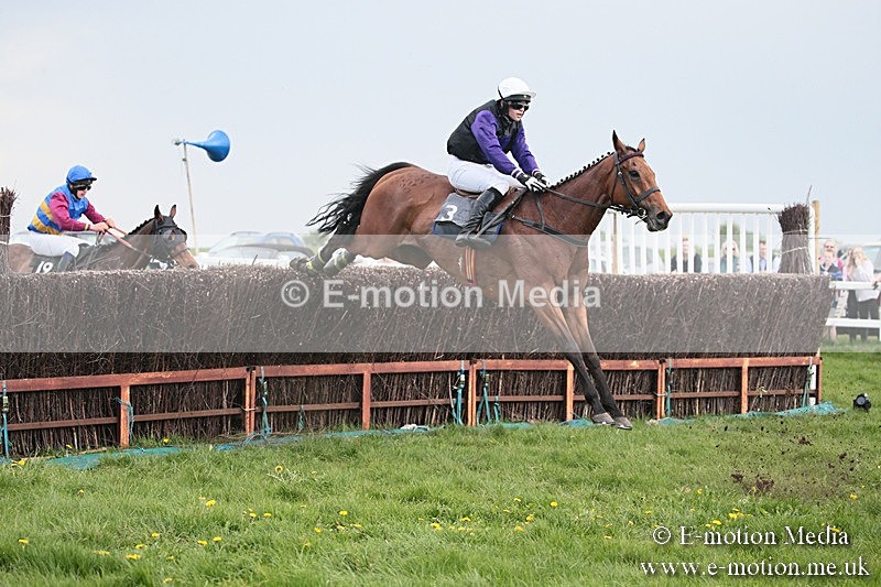 PtP 210418 378 - South & West Wilts Point-to-Point Larkhill 21/04/18