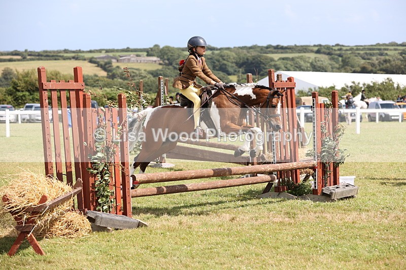 JPP_2159 - Class 19: Working Hunter 60cm