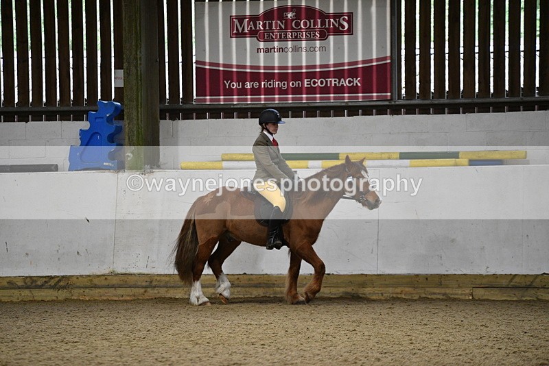 WJ5_8199 - Class 14 Novice Ridden/Rider