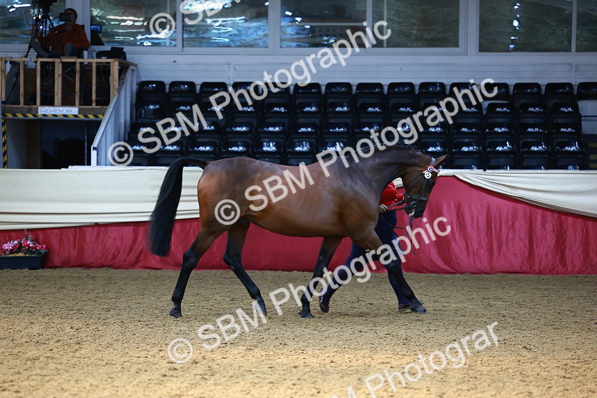 SBM_22329 - Class 902 - Supreme Final - IH Diamond