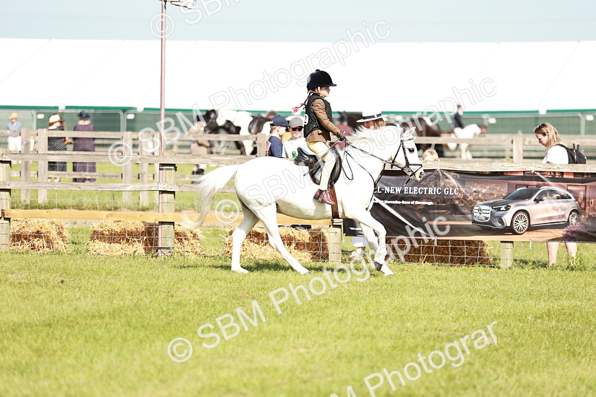 SBM_12613 - Class 106-107 - BSPS LIHS Working Sports Pony