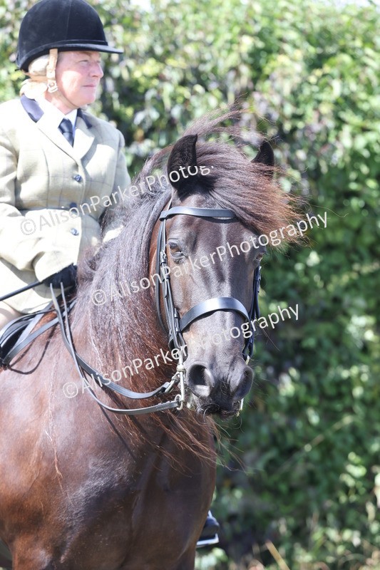 20250831-2983 - Class 19 - Mountain and Moorland