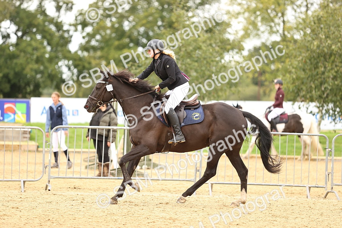 SBM_62872 - Supreme Championship 95cm 1.00m