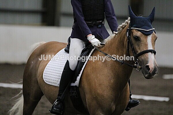 SIAL3639 - CAbin Dressage 5th july 2025