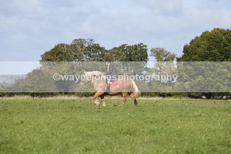 _DSC6353 - Time 11:23 to 12:05