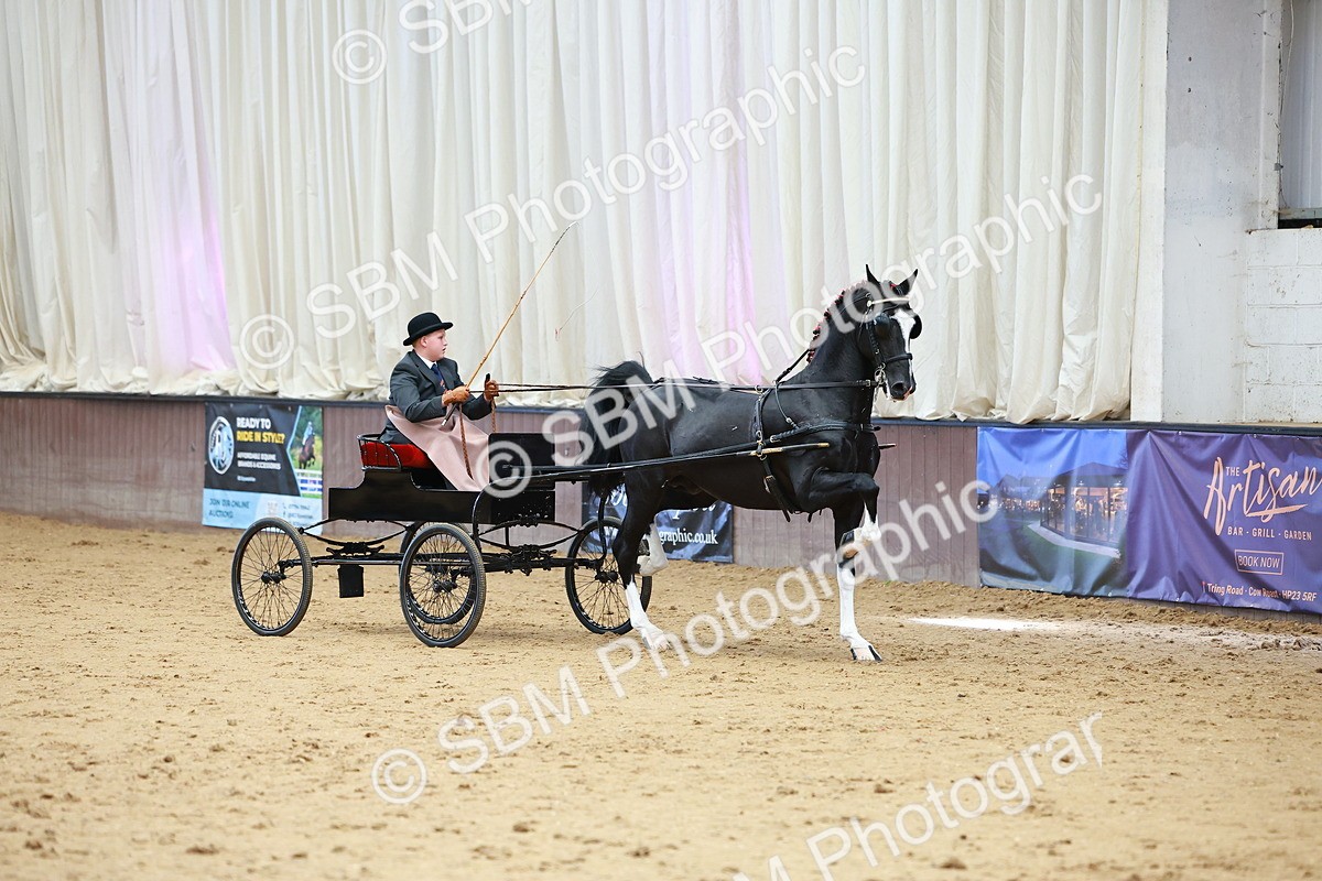 SBM_001002 - Class 13  - HHS Championship Intl Hackney Horse to a Show Wagon