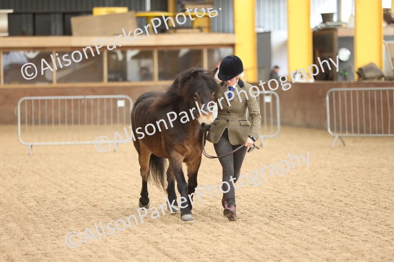 20251109-0628 - Class 22 - Geldings 4 Years and over