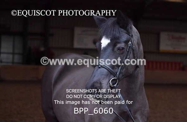 BPP_6060 - Erin Hancock ×2