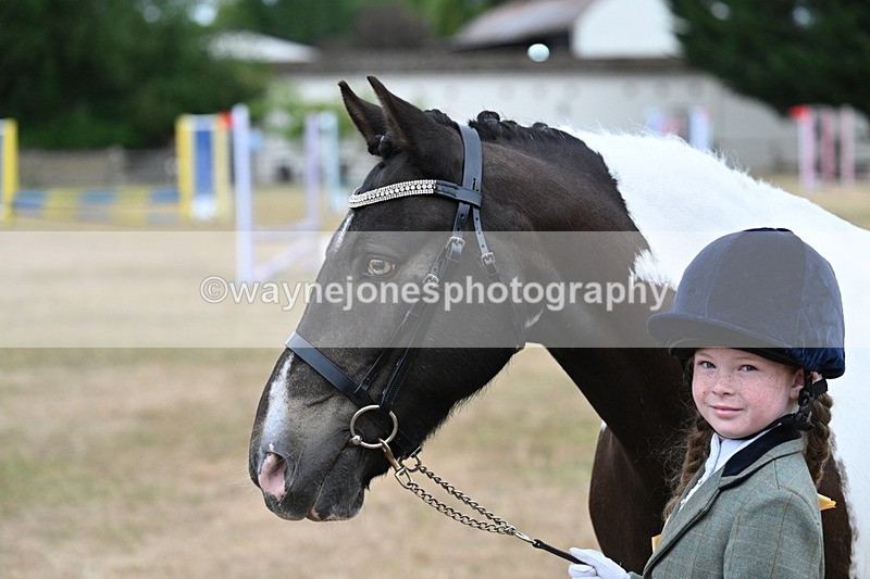 WJ7_9722 - Class 5 Most Handsome Gelding (up to 14.2hh)