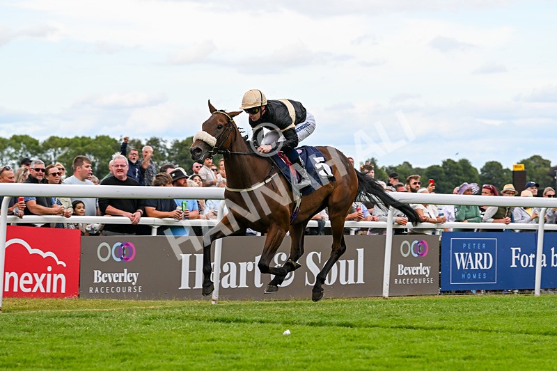 050725-Race 7-Dollys Delight-9768 - Race 7