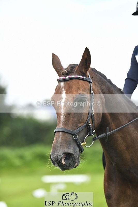 230826-134657-19882 - PC 70 1pm to 2pm