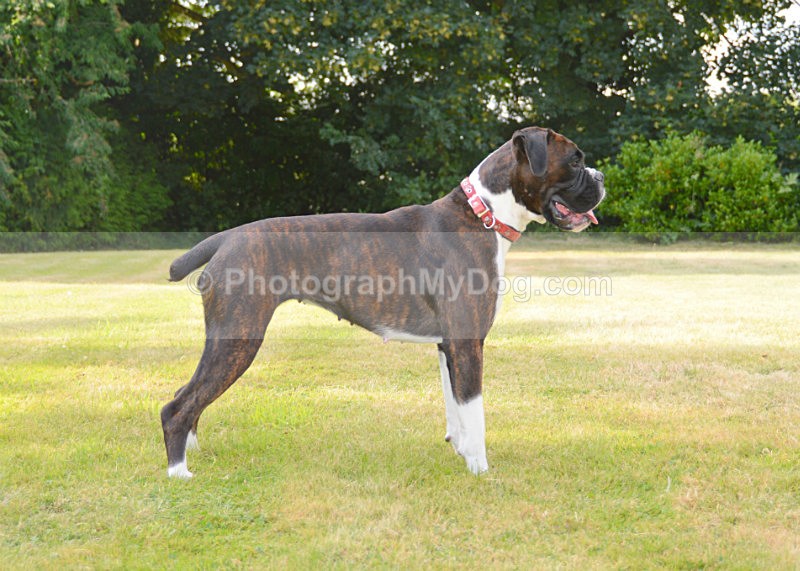 - Boxers