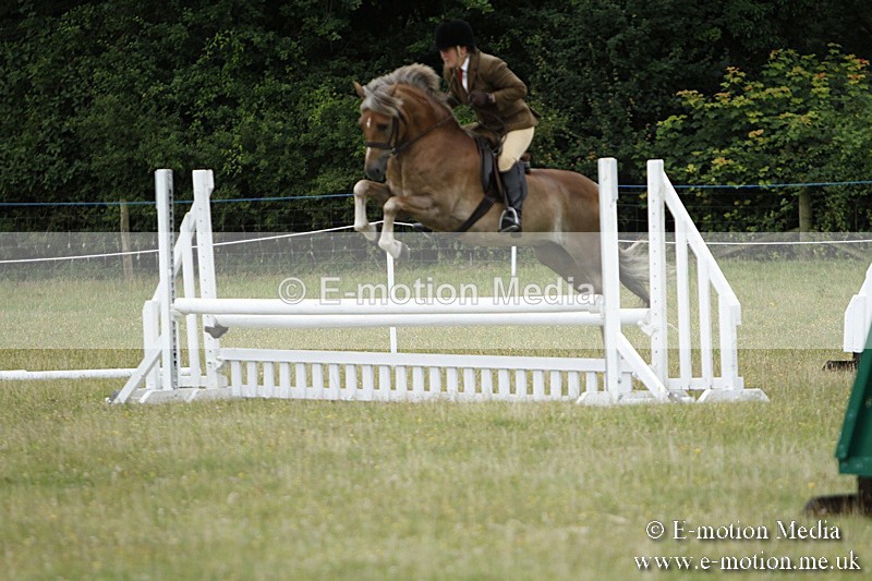 BVR160717-137 - Ring 3 BVRC Show 16/07/17