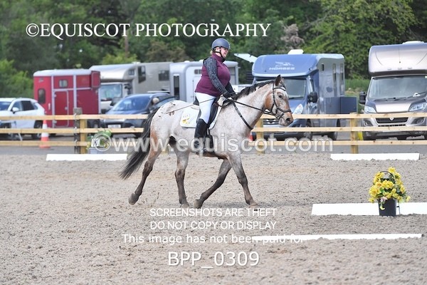 BPP_0309 - SHORT ARENA  MY QUEST PRELIM