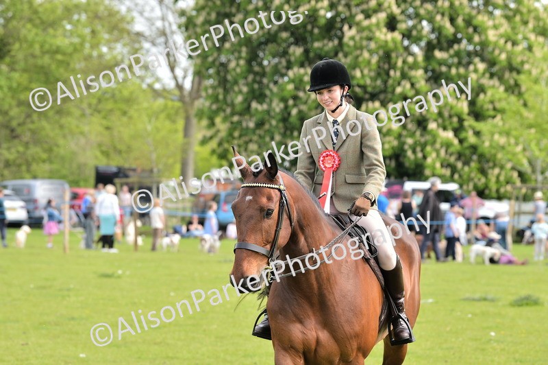 20260426-4539 - Ridden Showing Championship