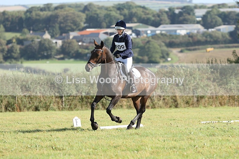JPP_7990 - Class 2A: Trekenning Open: Dressage