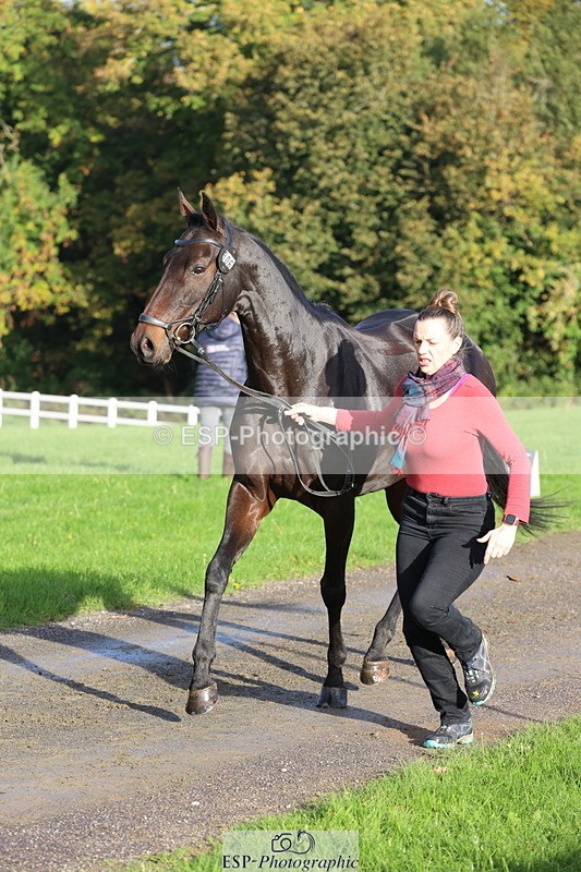 251026A-095530-22585 - D-306-Annabel.Mason