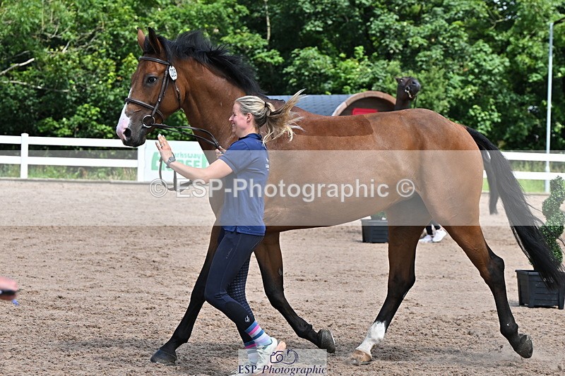 240718A-105258-01381 - Trot Up 12pm to 1pm