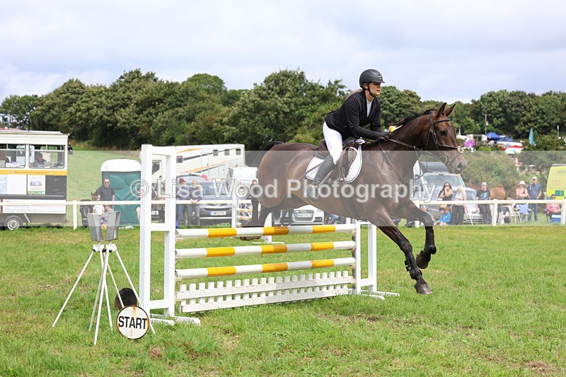 3E7A6939 - Class 5: Senior British Novice/90cm open