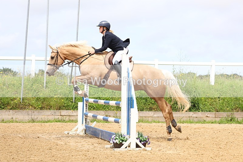 3E7A6010 - Class 4: Senior British Novice/90cm open