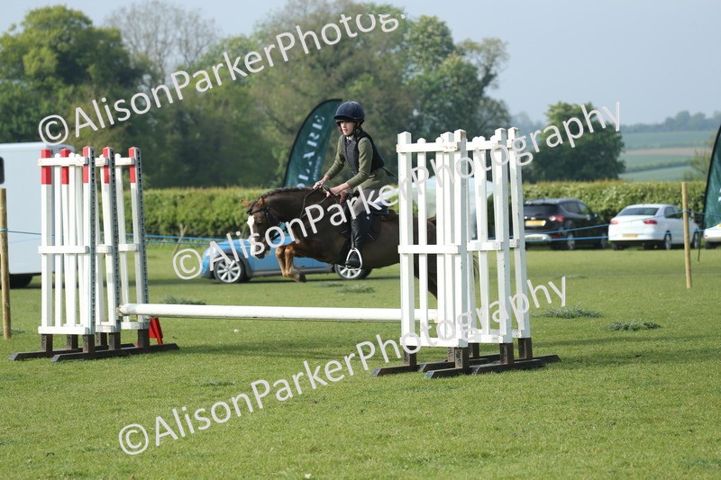 20260426-0046 - Class 13 - Rookie Jumping 50cm