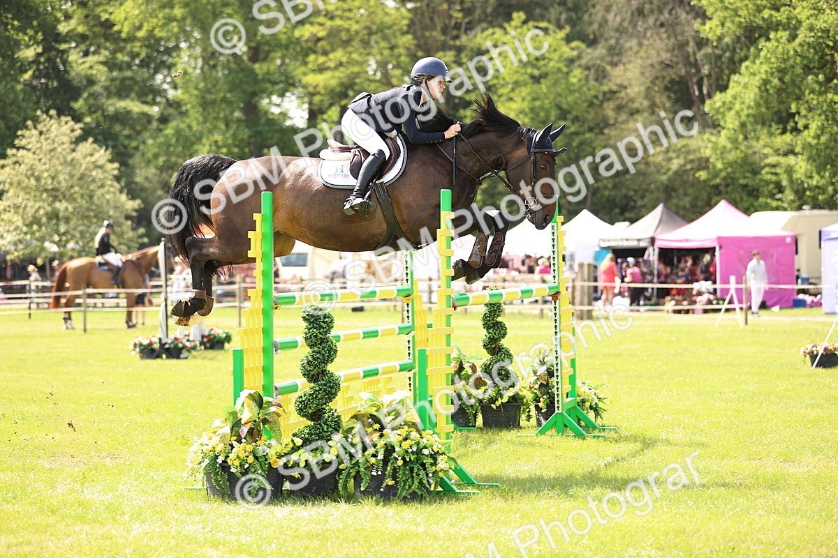 SBM_03131 - Class 201 - British Horse Feedds Speedi Beet HOYS Grade C