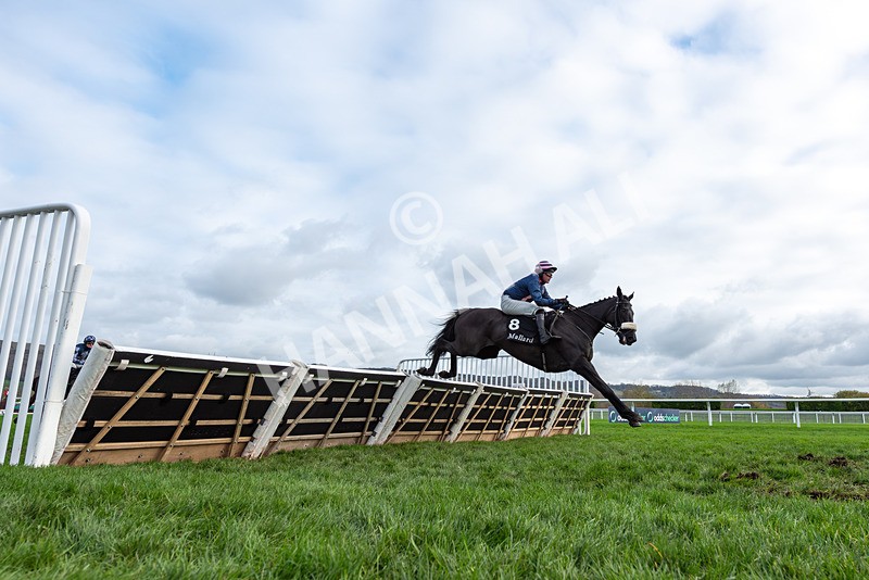 161125-Race 1-Keno Black-2936 - Race 1