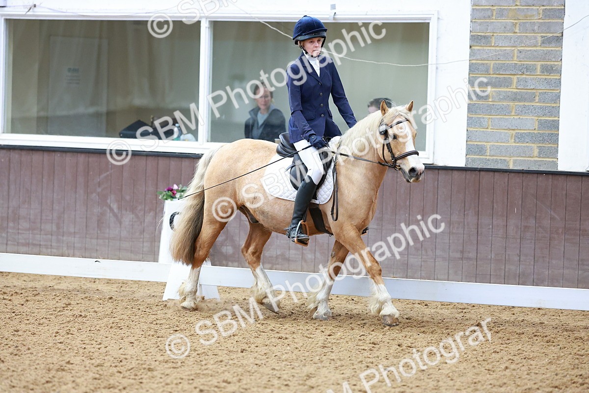 SBM_000567 - Class 4 - CT Prelim 3-70cm
