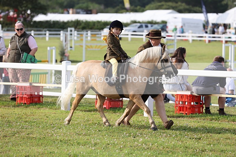 JPP_0259 - Class 14: Cornish Combination Leading Rein