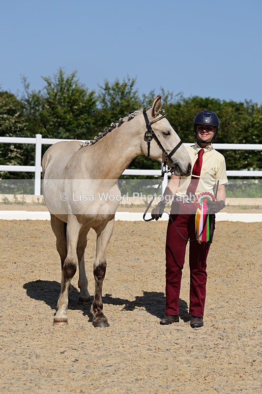 1X9A0818 - Class 4: Youngstock 1, 2, 3 year old to exceed 153cm