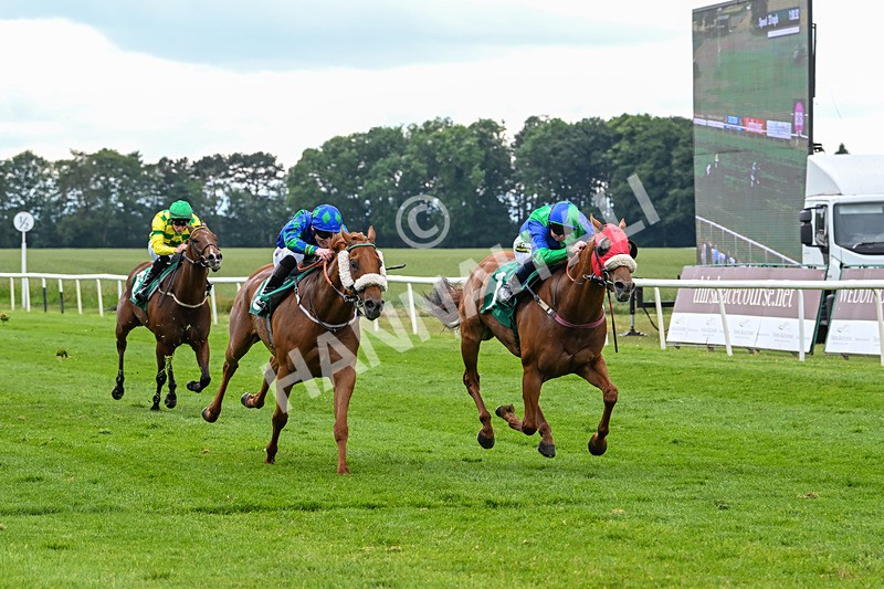 170625-Race 4-Lord Abama-5167 - Race 4