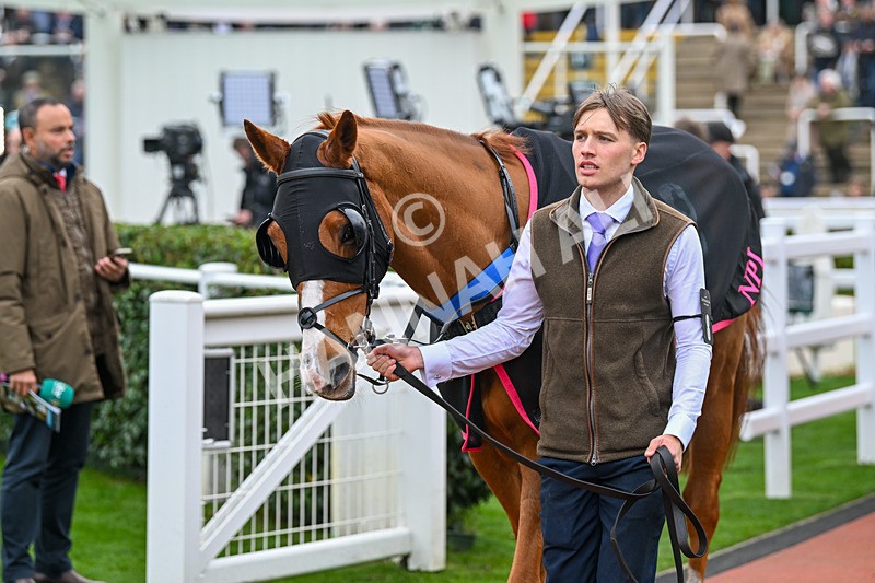 161124-Race 2-Paddock-Captain Speaking-9462 - Race 2