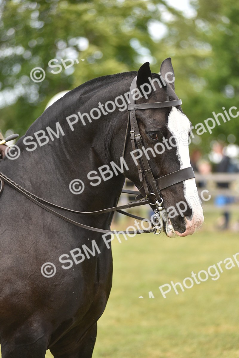 SBM_17745 - Class 122-123 - LIHS BHSA Raising Star Style and Performance Series