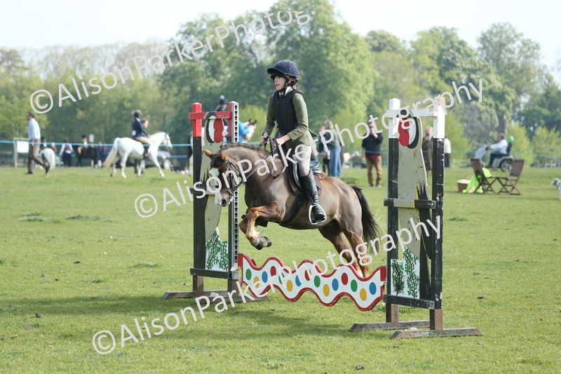 20260426-0043 - Class 13 - Rookie Jumping 50cm