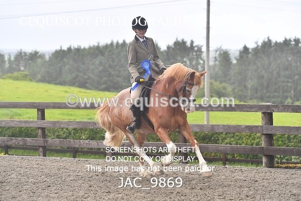 JAC_9869 - CLASS 2 Novice Working Hunter (0.60m - 0.70m)