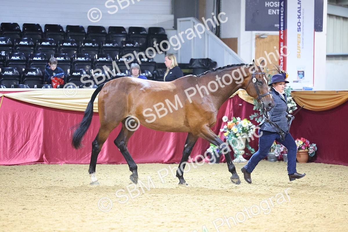 SBM_19590 - Class 901 - Supreme Final - IH Diamond