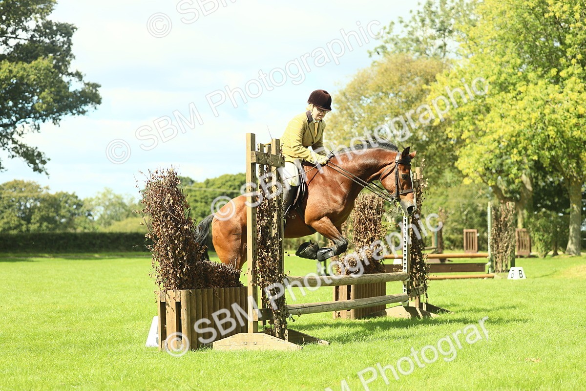 SBM_42969 - S30 - M&M Working hunter Pony
