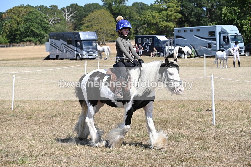 WJ6_9160 - Championship Classes 33-38
