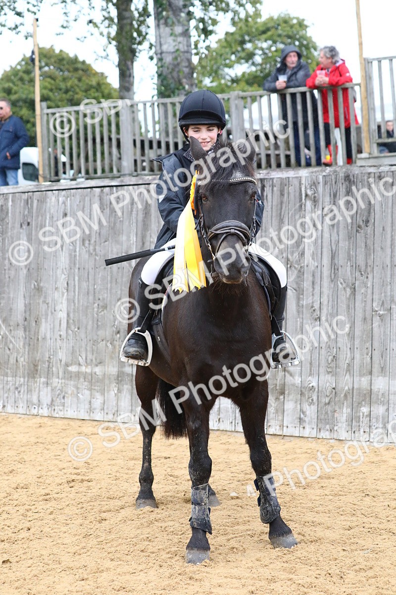 SBM_72121 - J3b - Mini Tour Junior Pony 40cm Championship