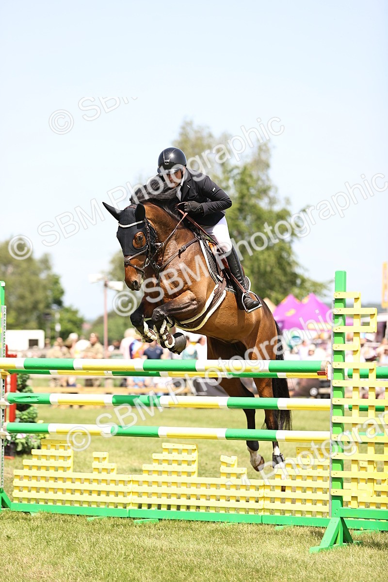 SBM_04029 - Class 201 - British Horse Feedds Speedi Beet HOYS Grade C