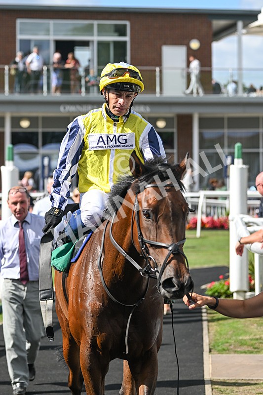 020825-Race 5-Rhythm Master-3400 - Race 5