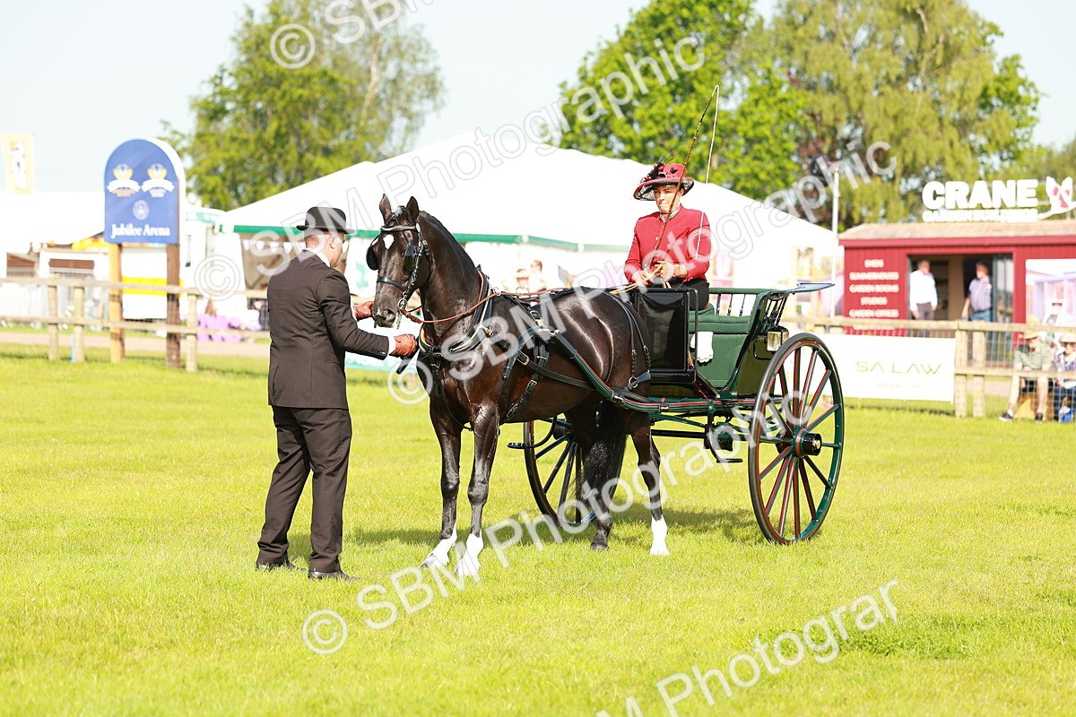 SBM_01194 - Class 2-4 - HOYS Private Driving