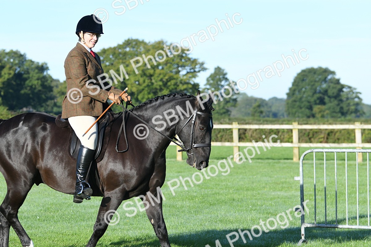 SBM_33880 - S16 - Condition & Turnout - Ridden