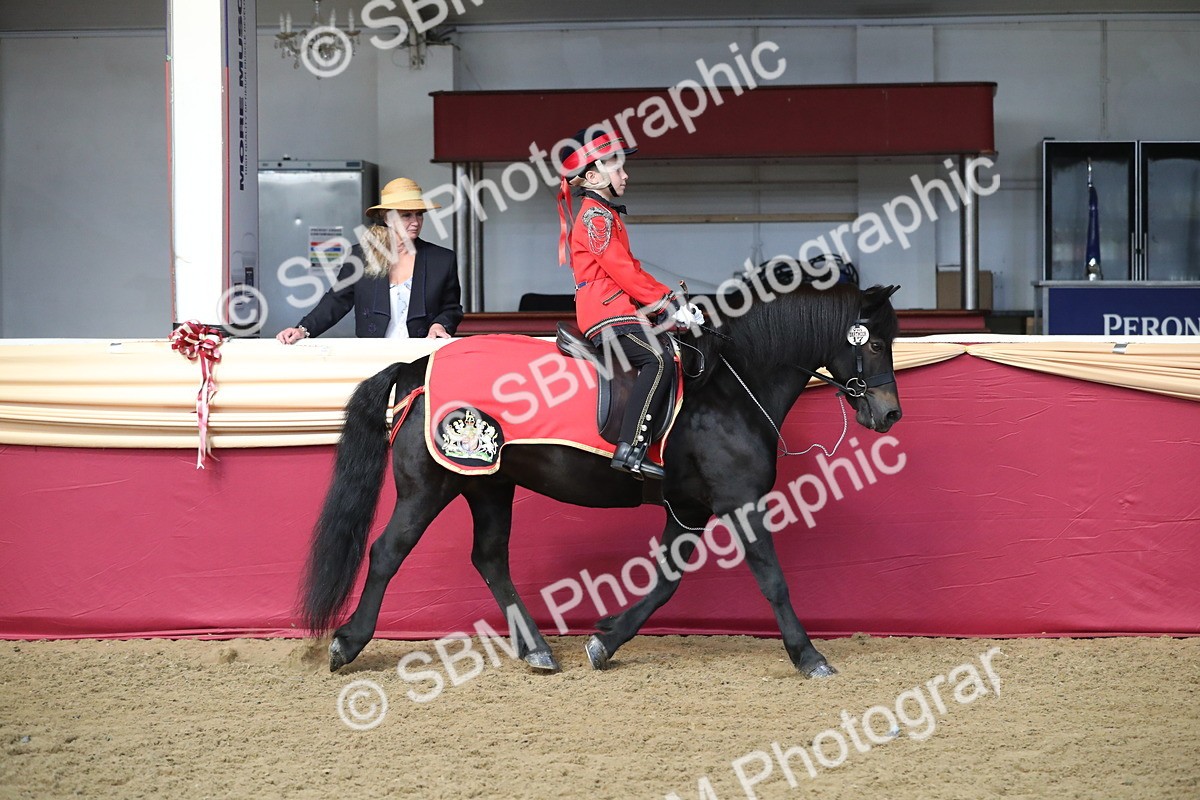 SBM_11250 - Class 104 Ridden Costume - Astride Junior