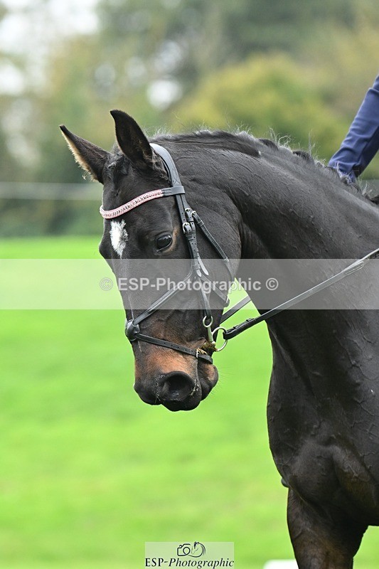 241024-150324-04690 - 423-Alexandra.Erskine.Scott-PRIMITIVE.DAYLIGHT