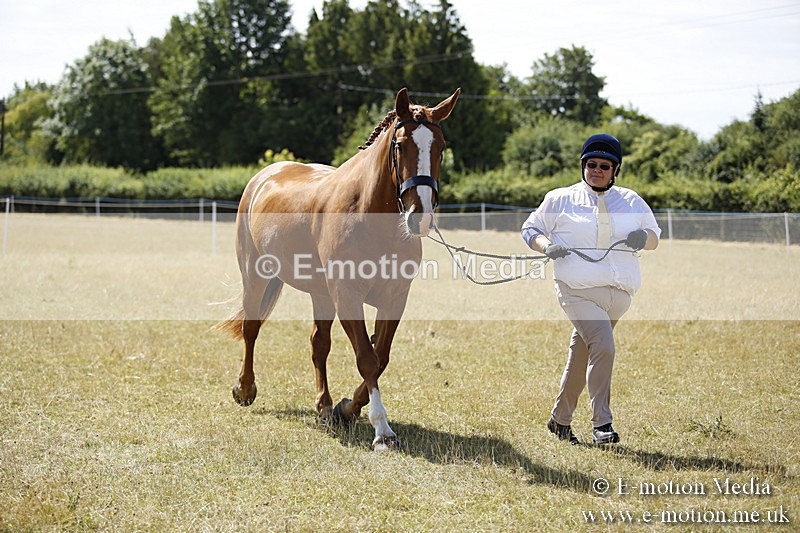 _C7A9735 - BVRC Sow 2018 Ring 2