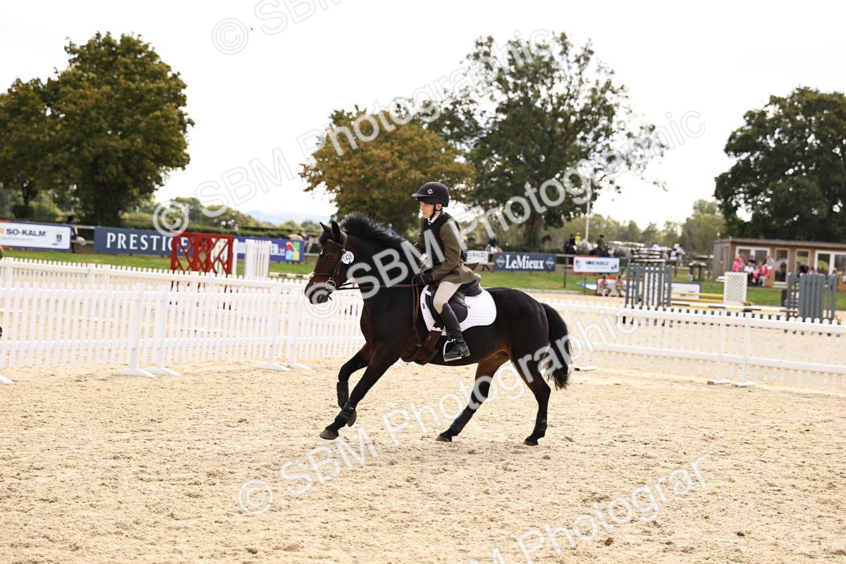 SBM_64046 - J12 - Junior Pony 55cm Championship