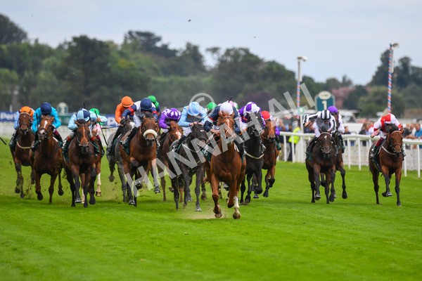 240823-Race 2-Dragon Leader-0195 - Race 2 2.25pm Goffs UK Harry Beeby Premier Yearling Stakes